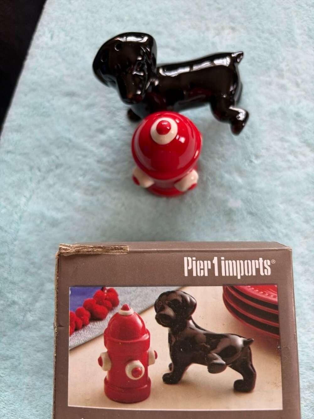 Pier 1 Imports Salt & Pepper Shaker